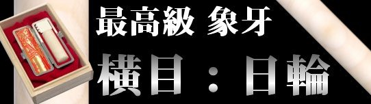 �ō����{�ۉ� ���ړ���