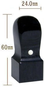 �E�� ���ʊ�(����) 24.0�o �V��