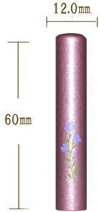 �a���^���b�N�i�p�[�v���j12.0�o�F��